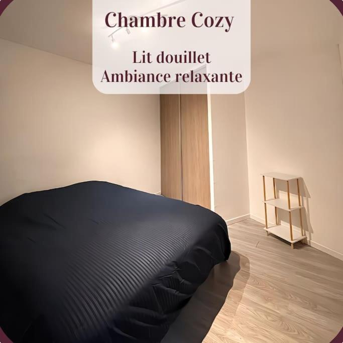 Appartement 2 Pieces Rdc En Duplex Vue Cour Parking Gratuit A 20Metres Roanne Exterior foto